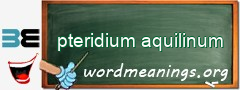 WordMeaning blackboard for pteridium aquilinum